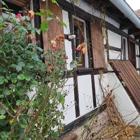 Petite Maison Alsacienne Entzheim Buitenkant foto