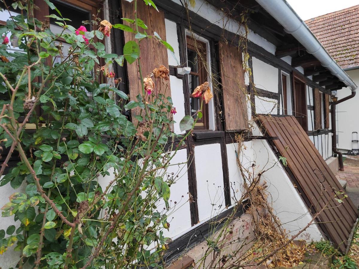 Vakantiehuis Petite Maison Alsacienne